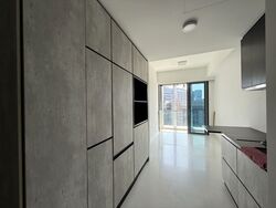 The Rise @ Oxley - Residences (D9), Apartment #548453181